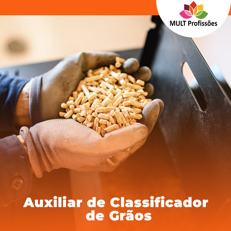 Auxiliar de Classificador de Grãos