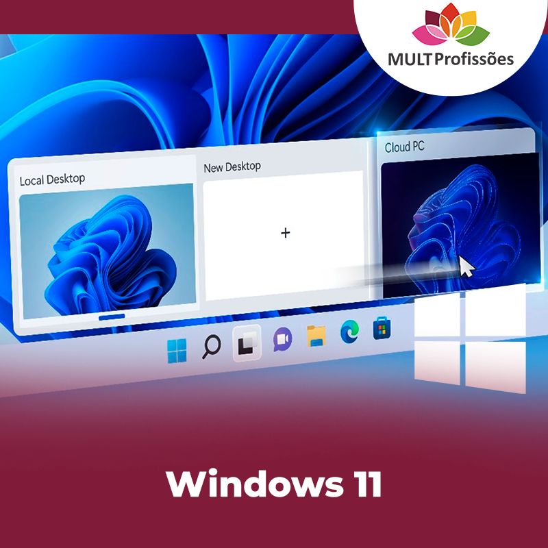 Windows 11